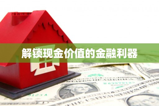 环江解锁现金价值的金融利器