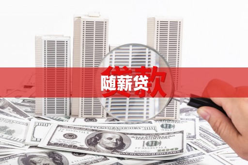 环江随薪贷