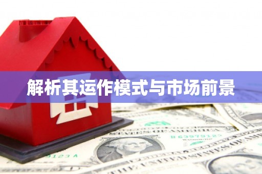 环江解析其运作模式与市场前景