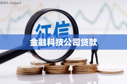 环江金融科技公司贷款