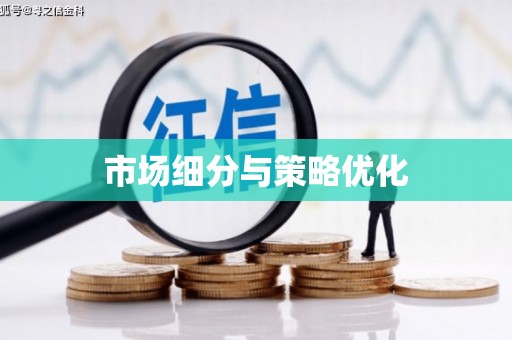 环江市场细分与策略优化