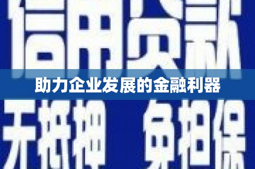 环江助力企业发展的金融利器