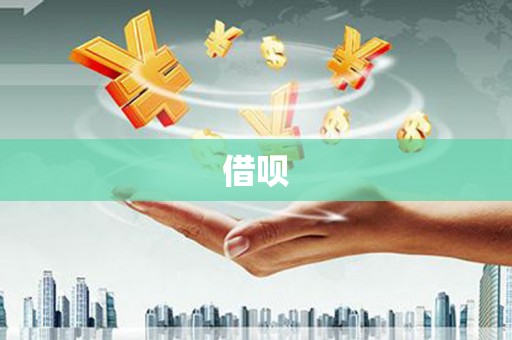 环江借呗