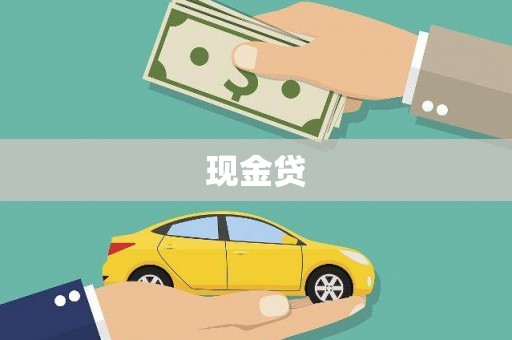 环江现金贷