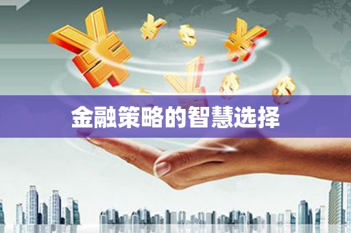 环江金融策略的智慧选择