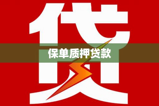 环江保单质押贷款