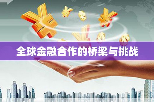 环江全球金融合作的桥梁与挑战