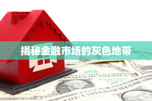 环江揭秘金融市场的灰色地带
