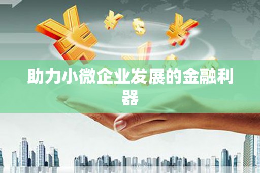 环江助力小微企业发展的金融利器