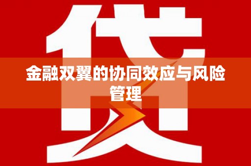 环江金融双翼的协同效应与风险管理
