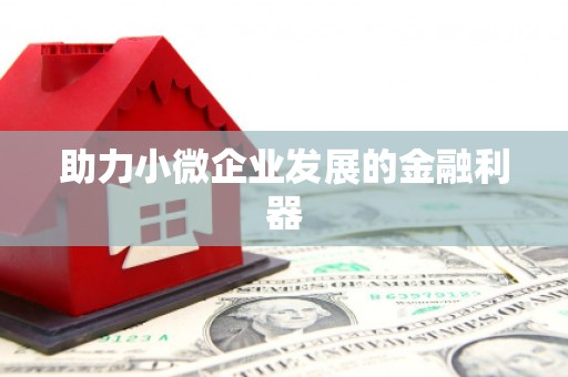环江助力小微企业发展的金融利器