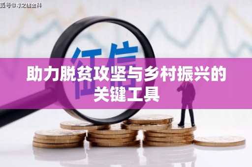 环江助力脱贫攻坚与乡村振兴的关键工具