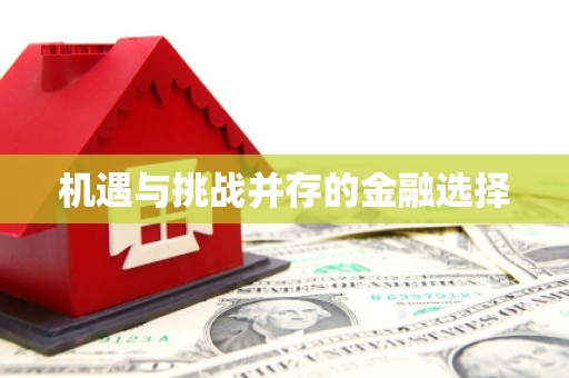 环江机遇与挑战并存的金融选择