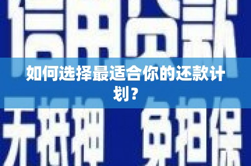 环江如何选择最适合你的还款计划？