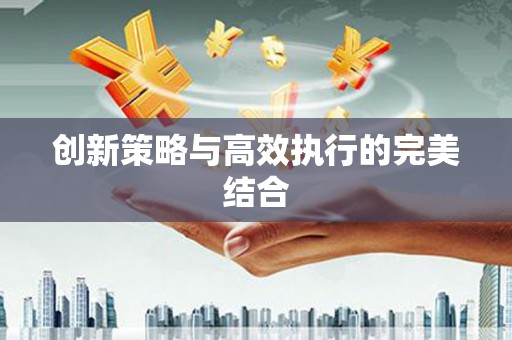 环江创新策略与高效执行的完美结合
