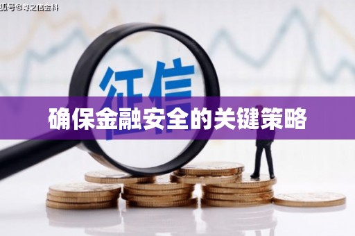 环江确保金融安全的关键策略