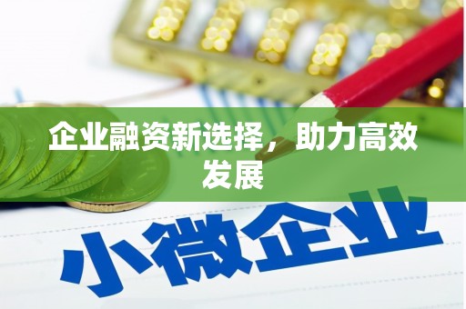 环江企业融资新选择，助力高效发展