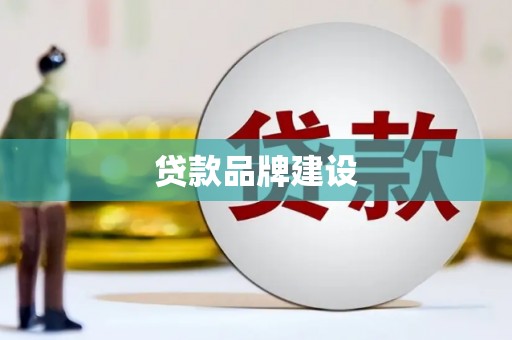 环江贷款品牌建设