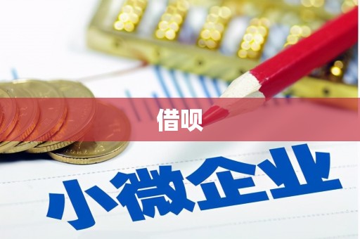 环江借呗