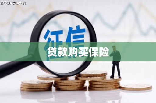 环江贷款购买保险