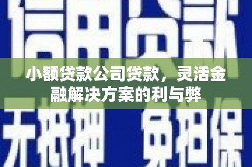 环江小额贷款公司贷款，灵活金融解决方案的利与弊
