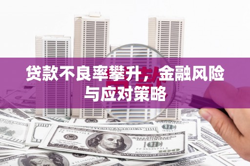 环江贷款不良率攀升，金融风险与应对策略