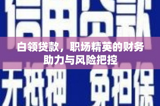 环江白领贷款，职场精英的财务助力与风险把控