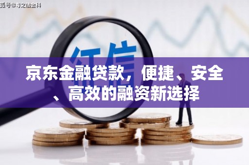 环江京东金融贷款，便捷、安全、高效的融资新选择
