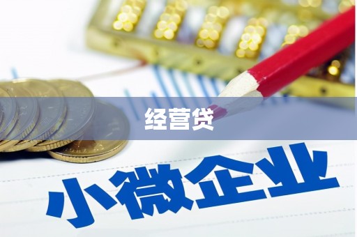 环江经营贷