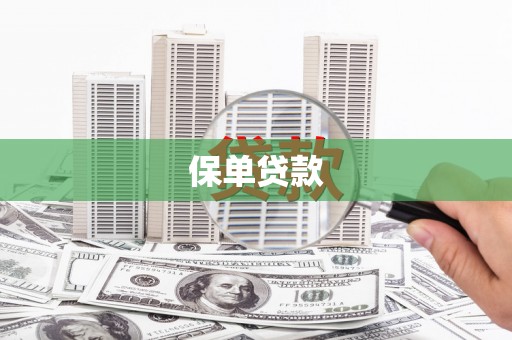 环江保单贷款